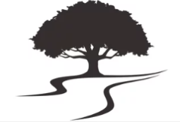 image of a river and a tree